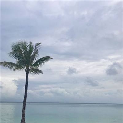 游龙手游(暂未上线)v1.0 安卓版